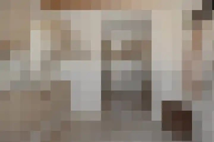 De Turfkamp 10 Berlicum thumbnail 16