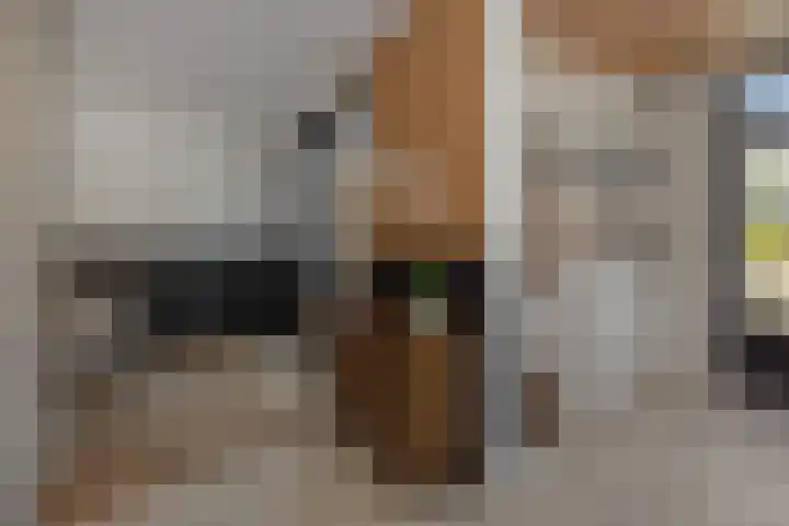 De Turfkamp 10 Berlicum thumbnail 17