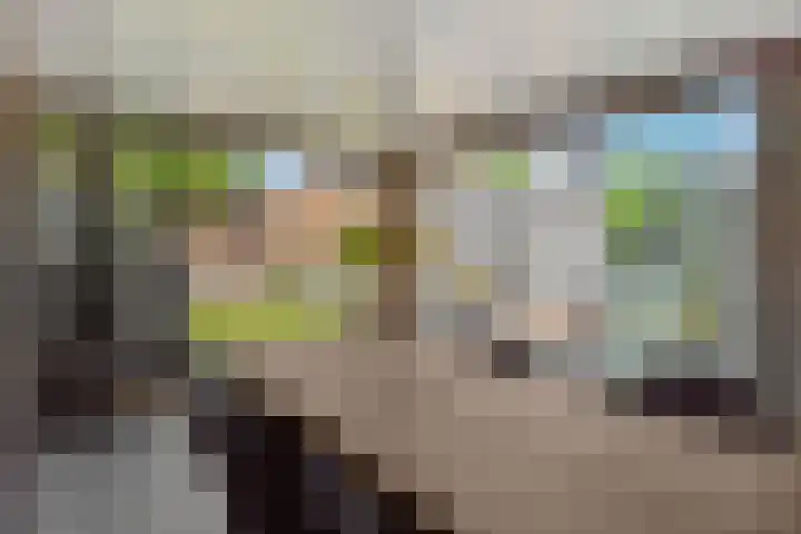 De Turfkamp 10 Berlicum thumbnail 22