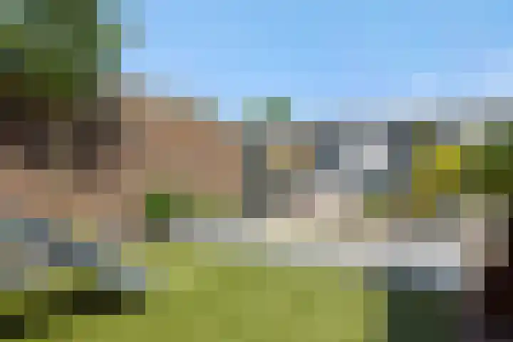 De Turfkamp 10 Berlicum thumbnail 24