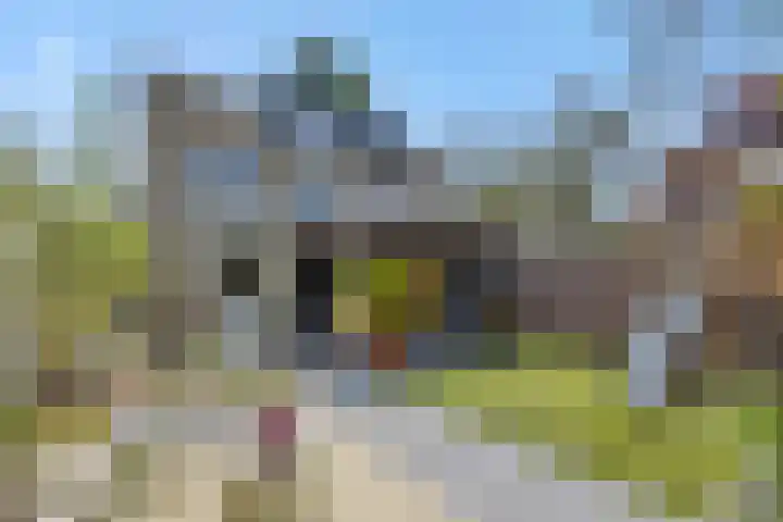 De Turfkamp 10 Berlicum thumbnail 26