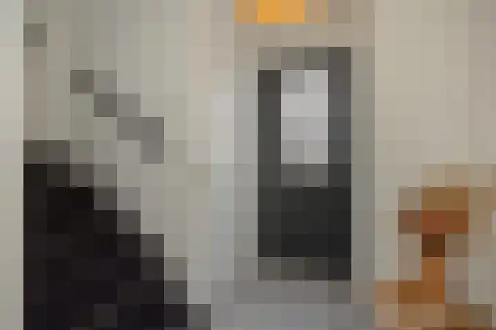 De Turfkamp 10 Berlicum thumbnail 27