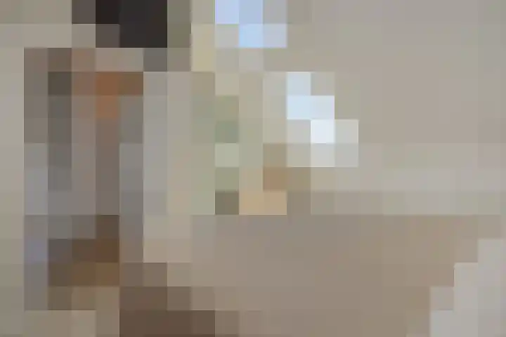 De Turfkamp 10 Berlicum thumbnail 39