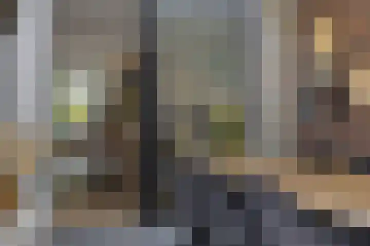 De Turfkamp 10 Berlicum thumbnail 4