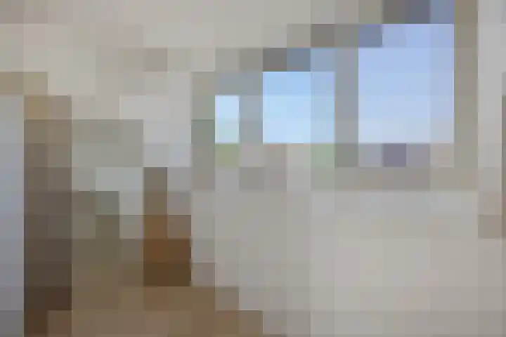 De Turfkamp 10 Berlicum thumbnail 43