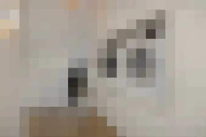De Turfkamp 10 Berlicum thumbnail 44