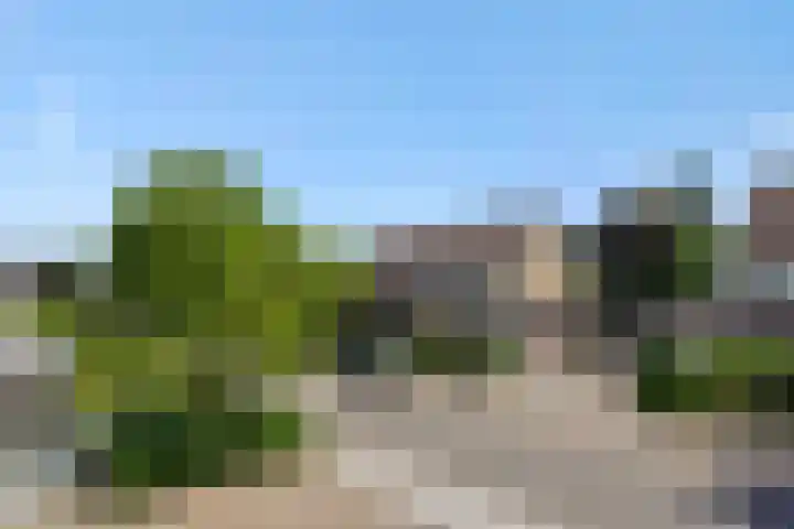De Turfkamp 10 Berlicum thumbnail 47