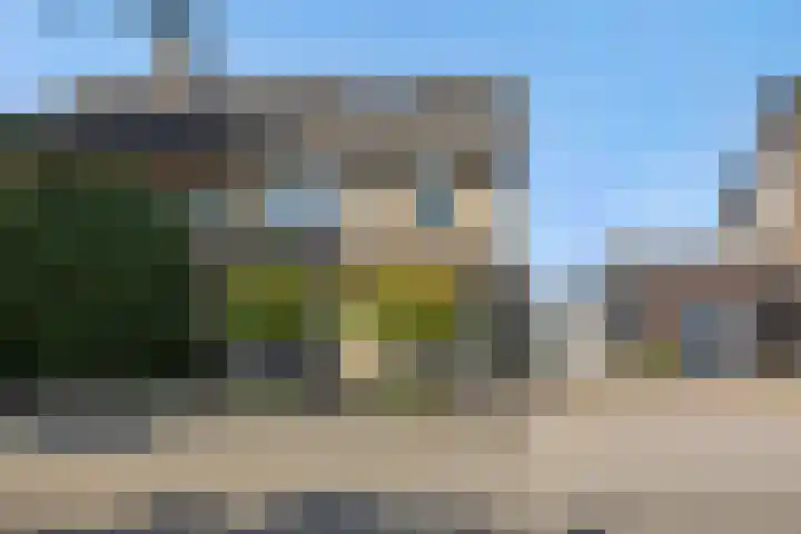 De Turfkamp 10 Berlicum thumbnail 5