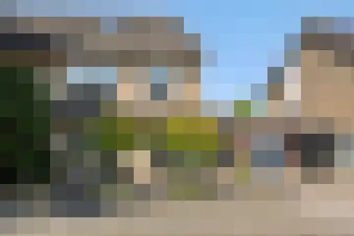De Turfkamp 10 Berlicum thumbnail 50