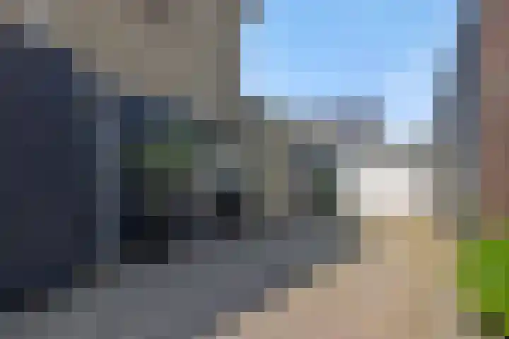 De Turfkamp 10 Berlicum thumbnail 6