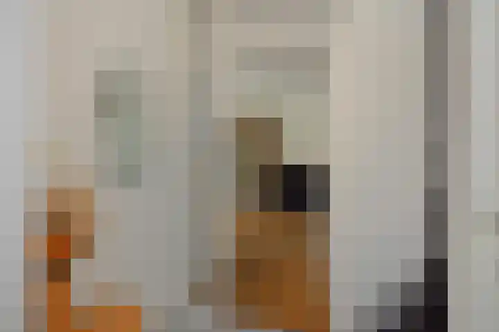 De Turfkamp 10 Berlicum thumbnail 7