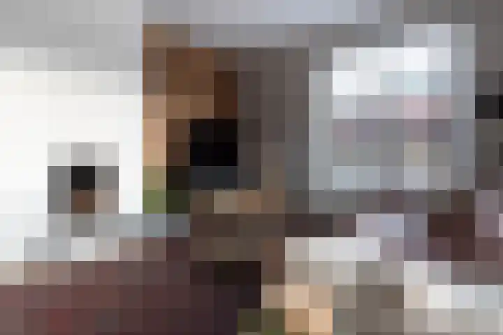 De Turfkamp 2 Berlicum thumbnail 11