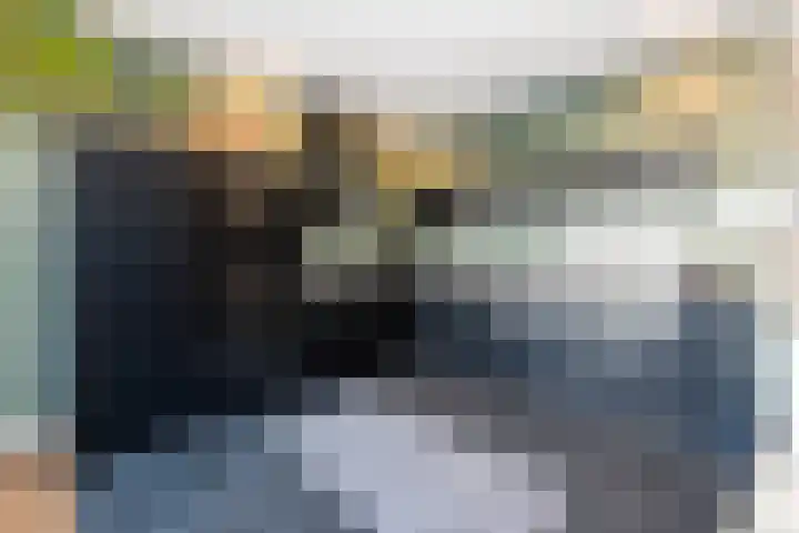 De Turfkamp 2 Berlicum thumbnail 16
