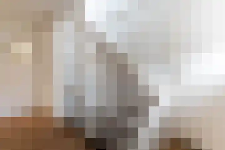 De Turfkamp 2 Berlicum thumbnail 31