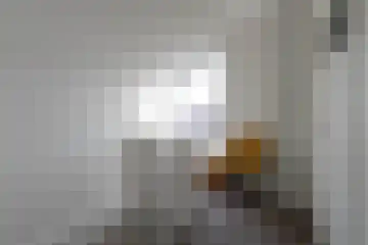 De Turfkamp 2 Berlicum thumbnail 32