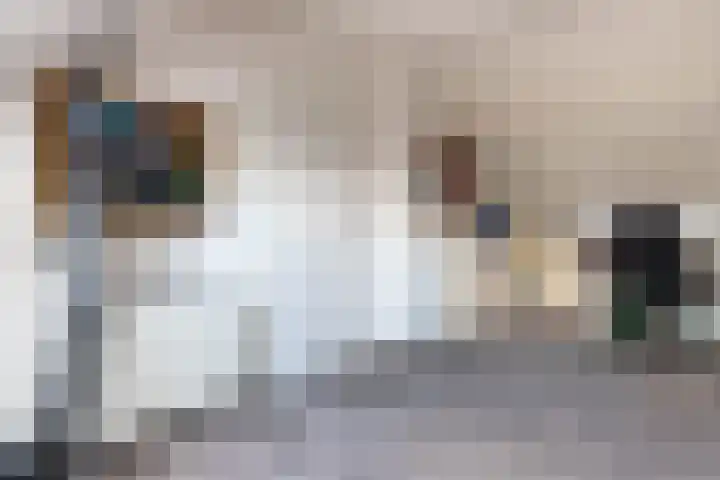 De Turfkamp 2 Berlicum thumbnail 35