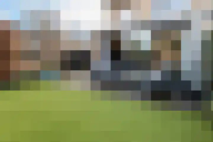 De Turfkamp 2 Berlicum thumbnail 36