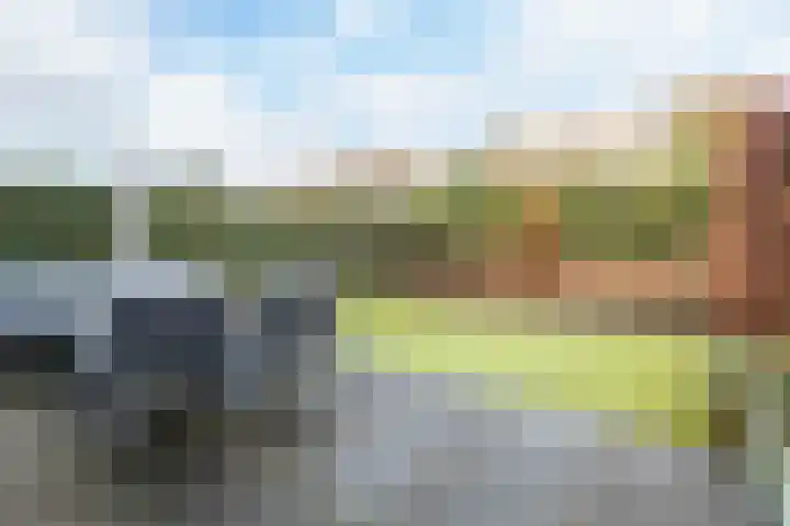 De Turfkamp 2 Berlicum thumbnail 38