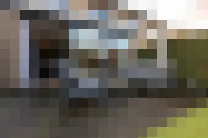 De Turfkamp 2 Berlicum thumbnail 39