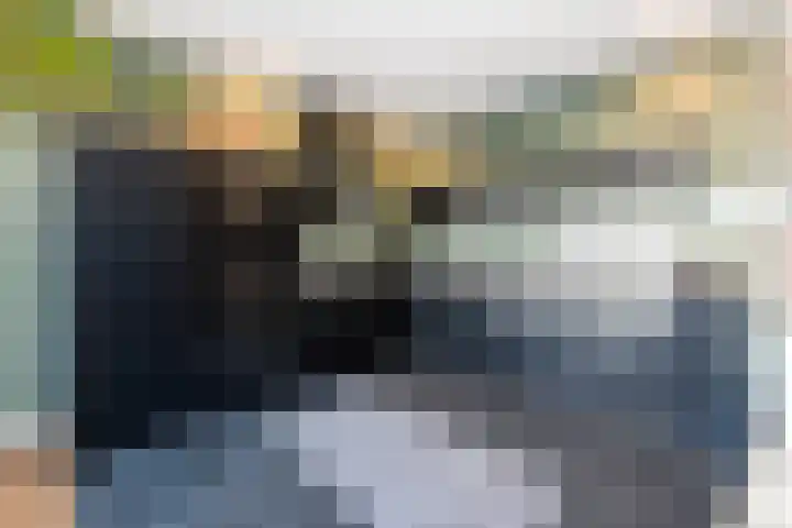De Turfkamp 2 Berlicum thumbnail 4