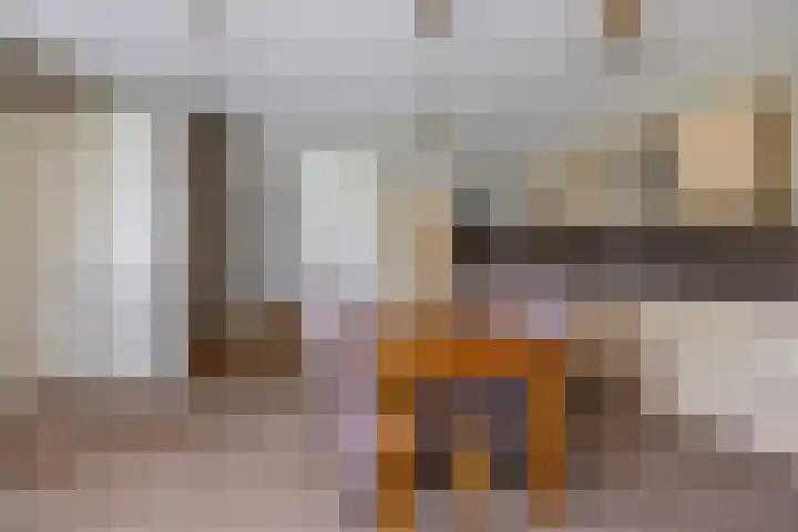 De Turfschipper 10 Hollandscheveld thumbnail 10