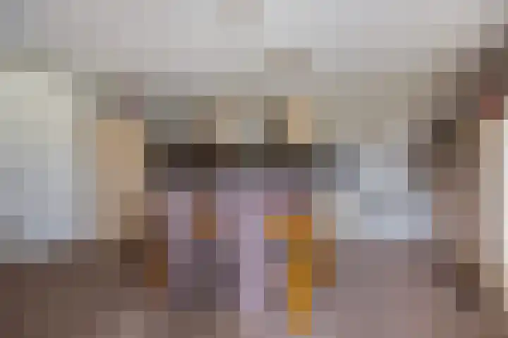 De Turfschipper 10 Hollandscheveld thumbnail 11