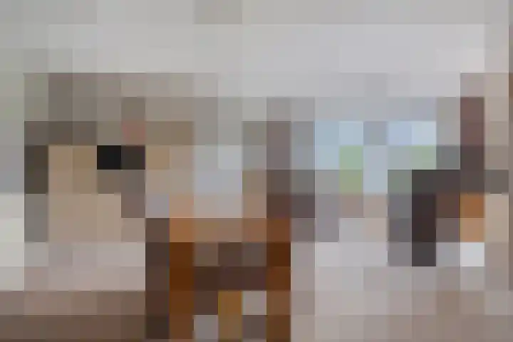De Turfschipper 10 Hollandscheveld thumbnail 12
