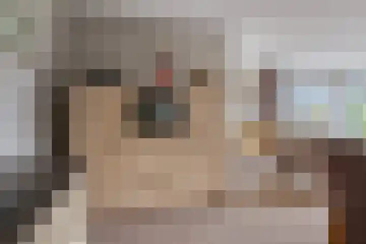 De Turfschipper 10 Hollandscheveld thumbnail 14