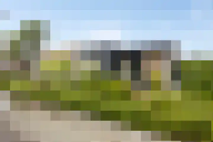 De Turfschipper 10 Hollandscheveld thumbnail 26