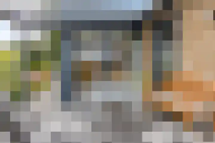 De Turfschipper 10 Hollandscheveld thumbnail 27
