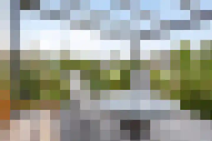 De Turfschipper 10 Hollandscheveld thumbnail 28