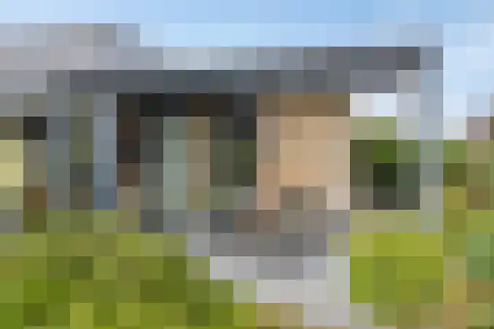 De Turfschipper 10 Hollandscheveld thumbnail 29