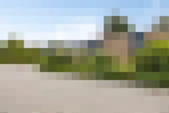 De Turfschipper 10 Hollandscheveld thumbnail 30