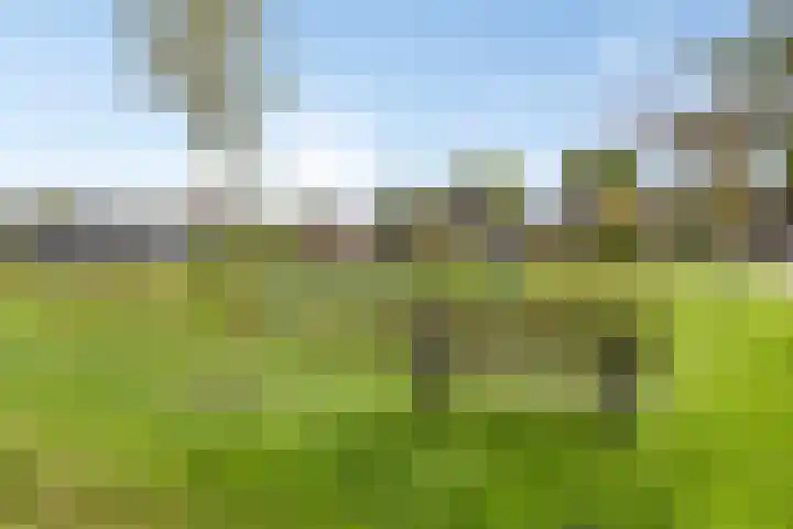 De Turfschipper 10 Hollandscheveld thumbnail 31