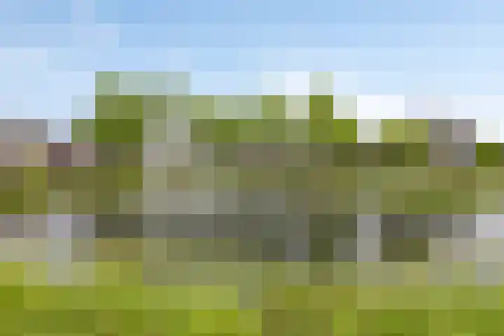 De Turfschipper 10 Hollandscheveld thumbnail 32