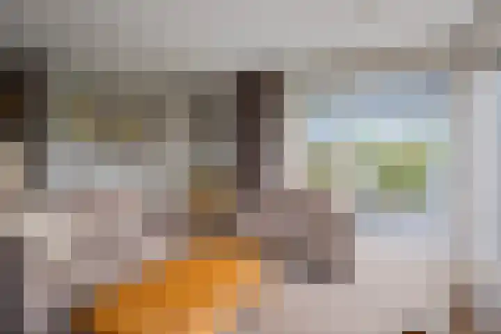 De Turfschipper 10 Hollandscheveld thumbnail 7