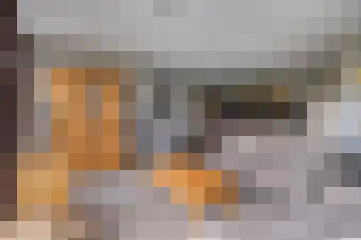 De Turfschipper 10 Hollandscheveld thumbnail 9