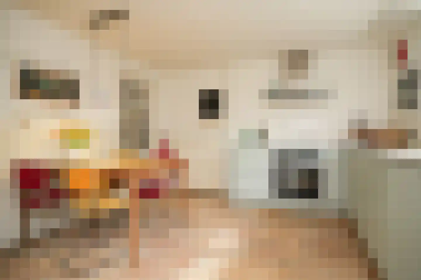 de Tuut 16 Appeltern thumbnail 14