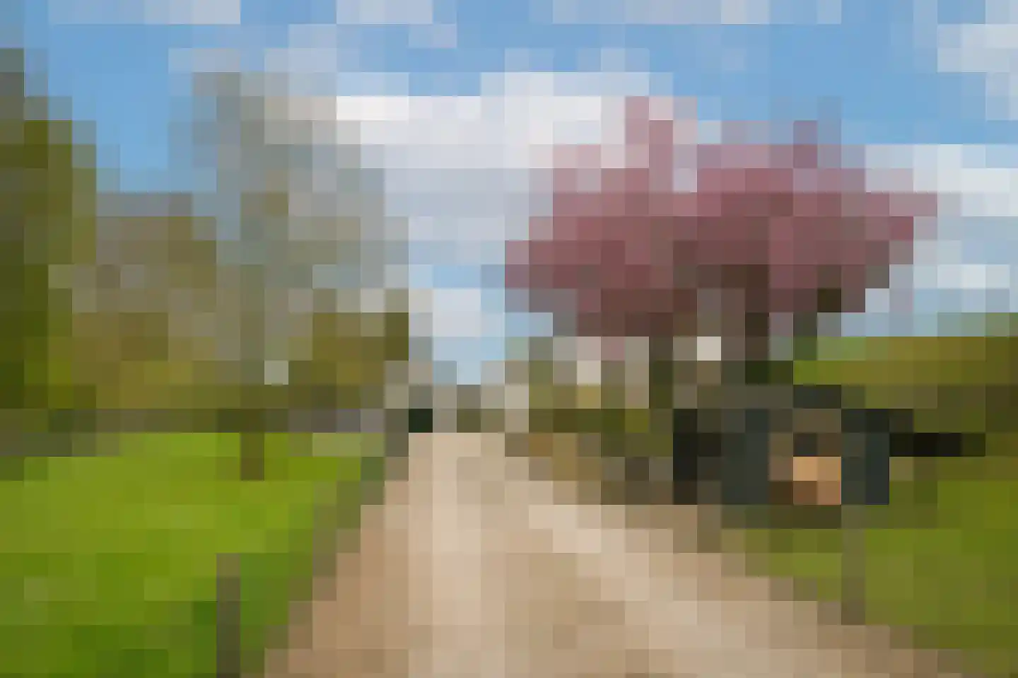 de Tuut 16 Appeltern foto 2