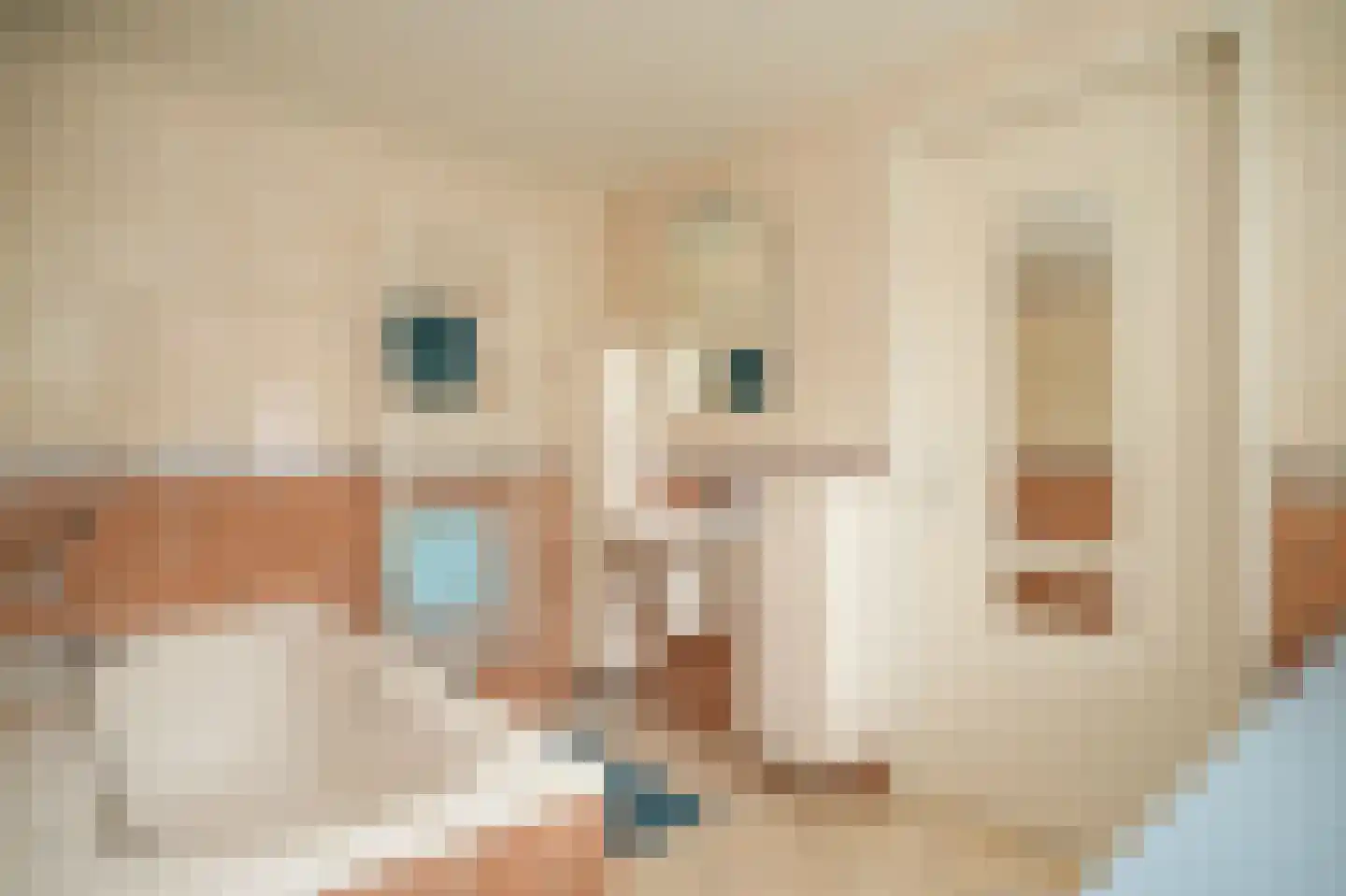 de Tuut 16 Appeltern thumbnail 21