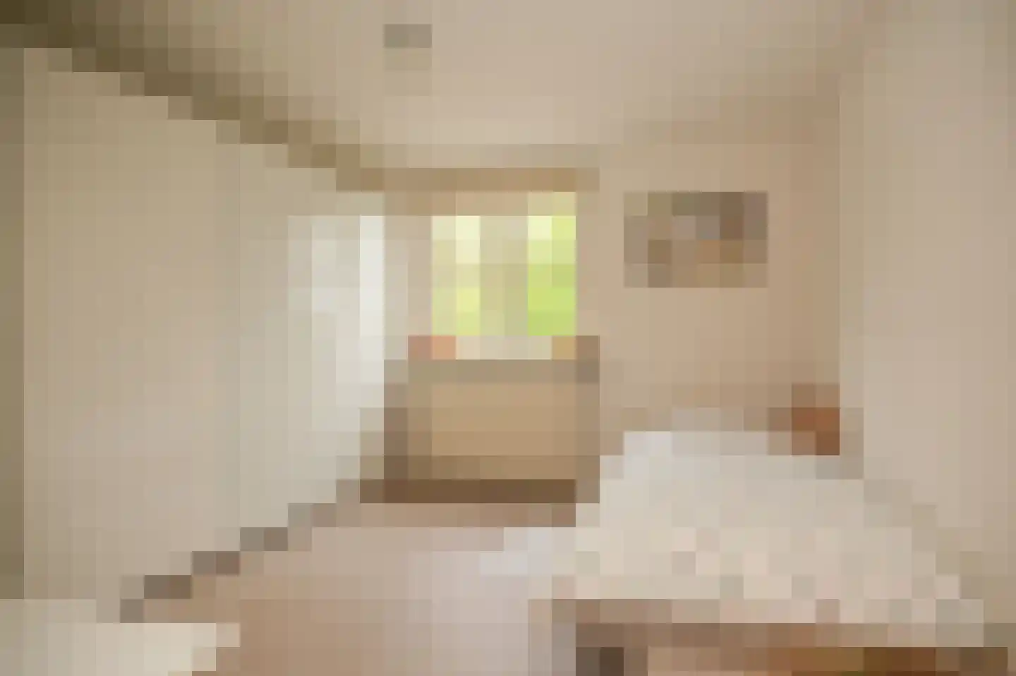 de Tuut 16 Appeltern thumbnail 22