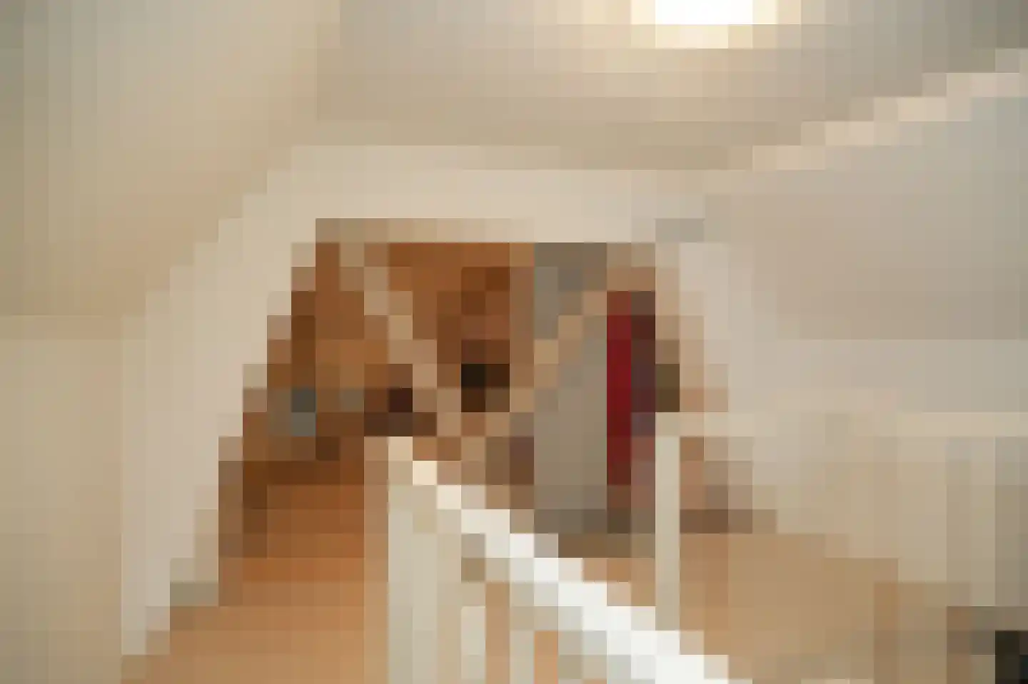 de Tuut 16 Appeltern thumbnail 27