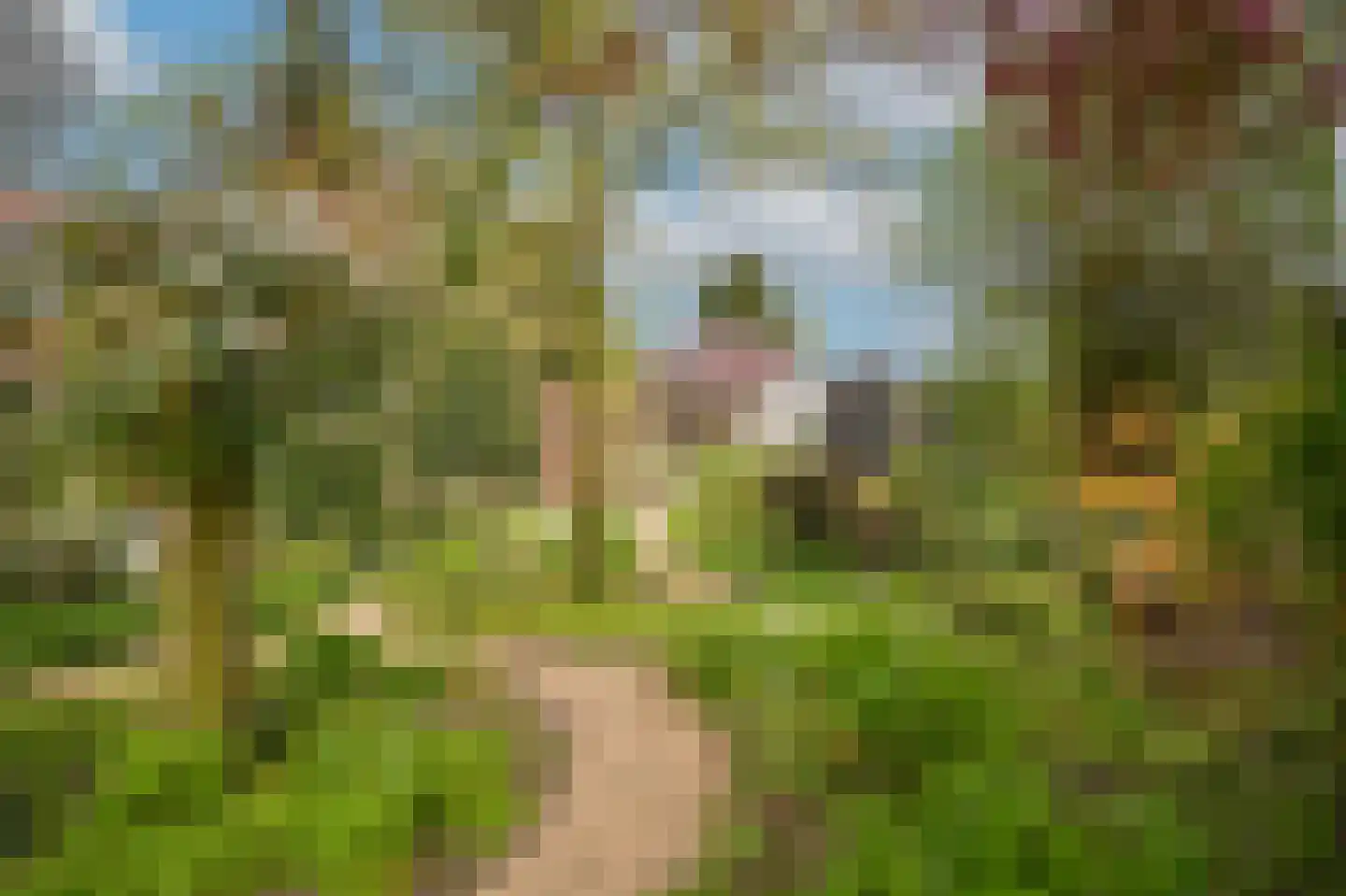 de Tuut 16 Appeltern thumbnail 33
