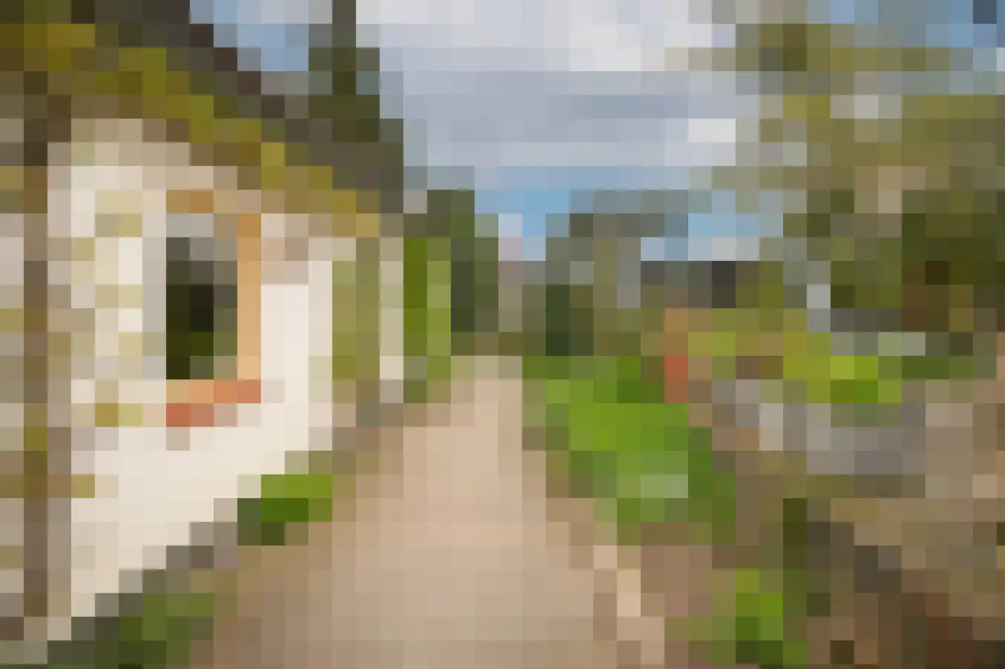 de Tuut 16 Appeltern thumbnail 35