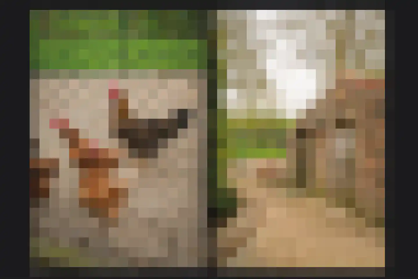 de Tuut 16 Appeltern thumbnail 37