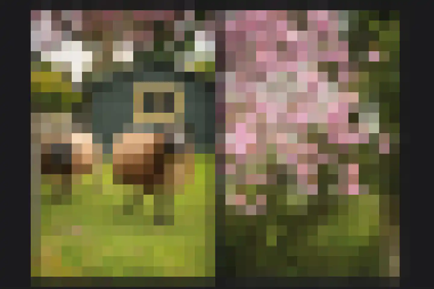 de Tuut 16 Appeltern thumbnail 4