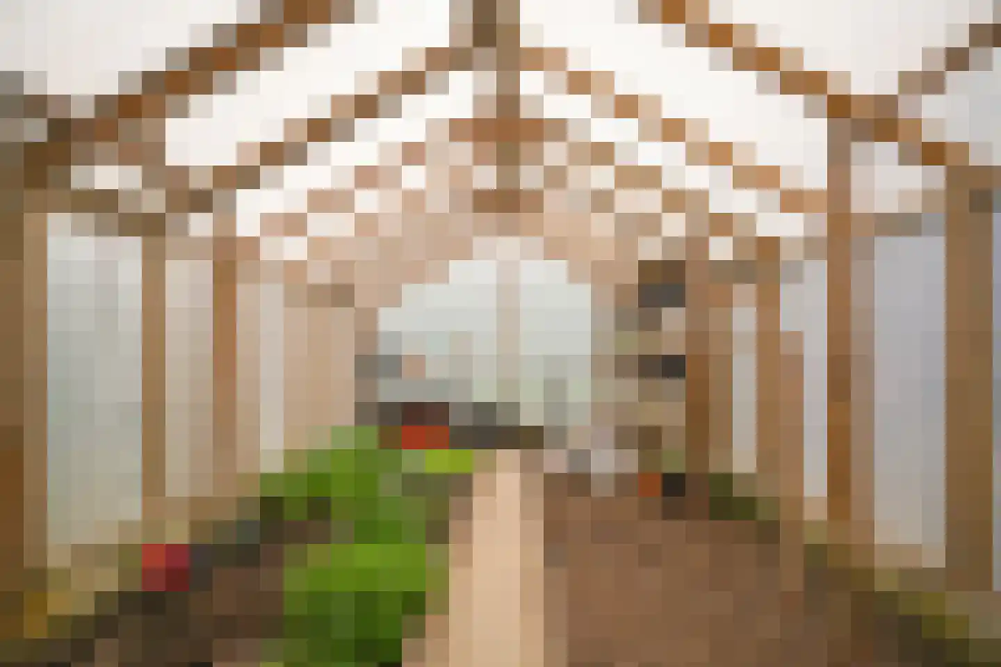 de Tuut 16 Appeltern thumbnail 40