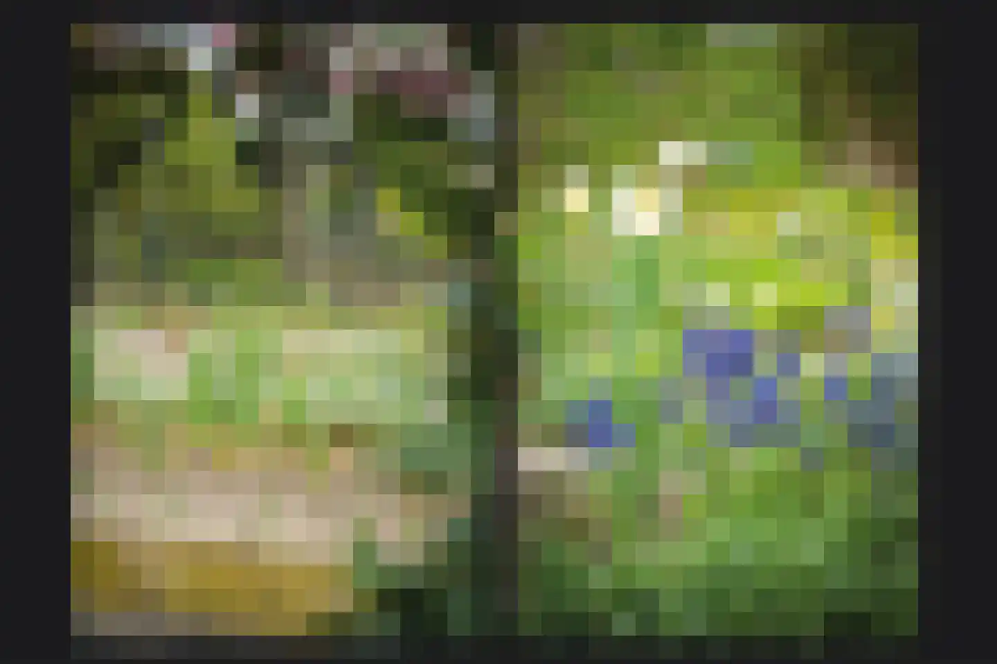 de Tuut 16 Appeltern thumbnail 43