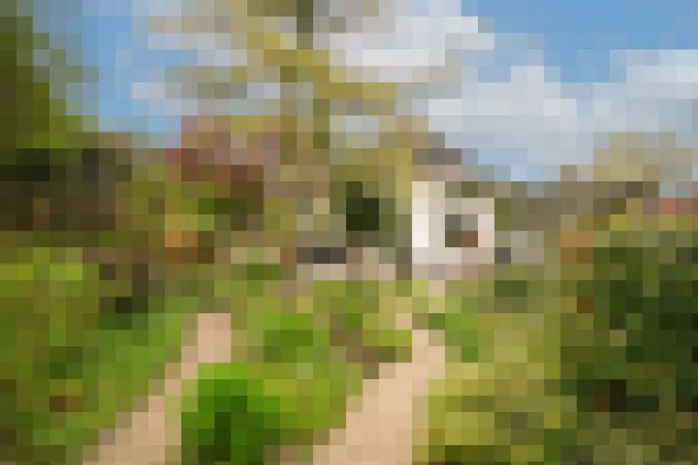 de Tuut 16 Appeltern thumbnail 45
