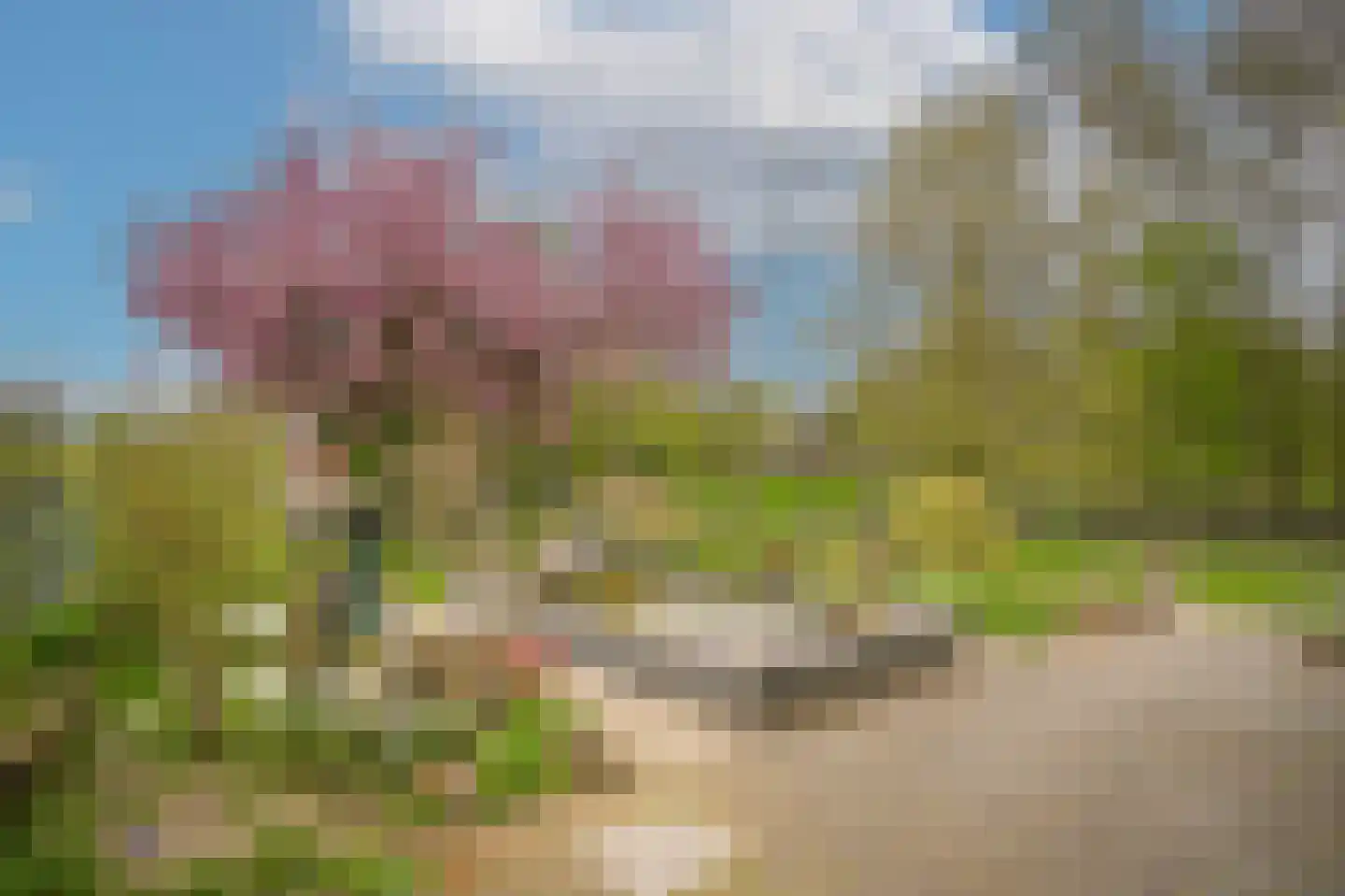 de Tuut 16 Appeltern thumbnail 51